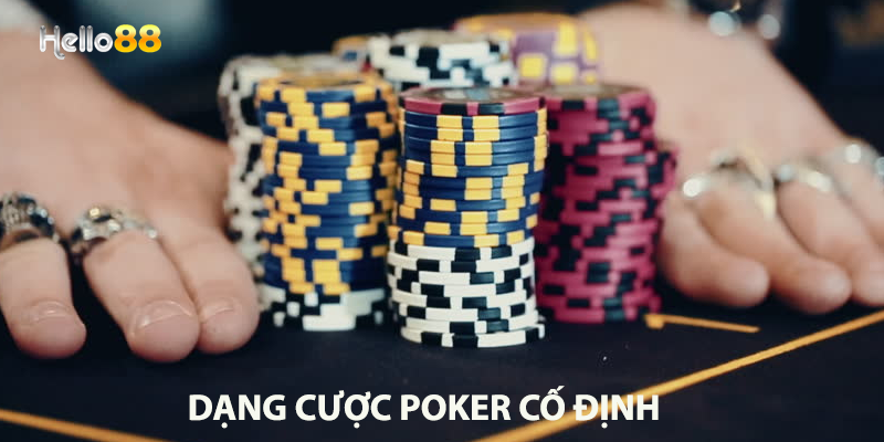 Dạng cược Poker cố định